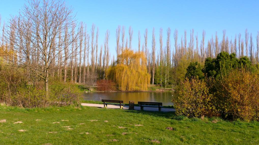 Park am Fischerdorf