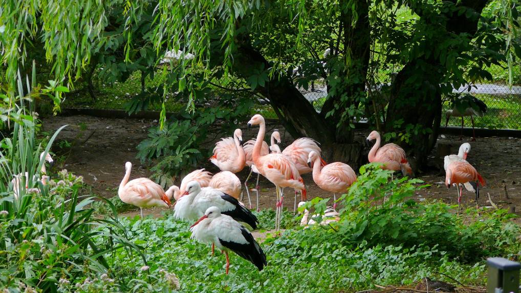 Park im Rostocker Zoo.